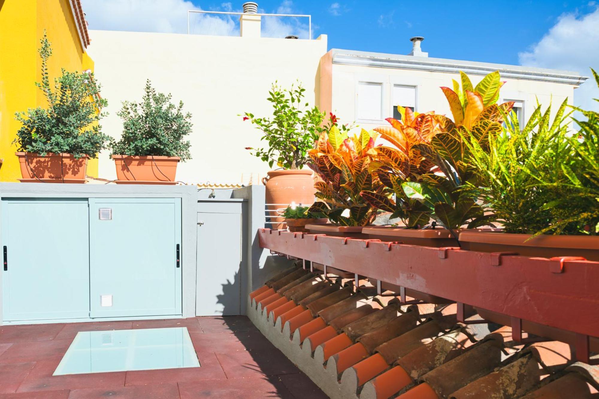 Vila Casa Emblematica Isabel Santa Cruz de la Palma  Exteriér fotografie